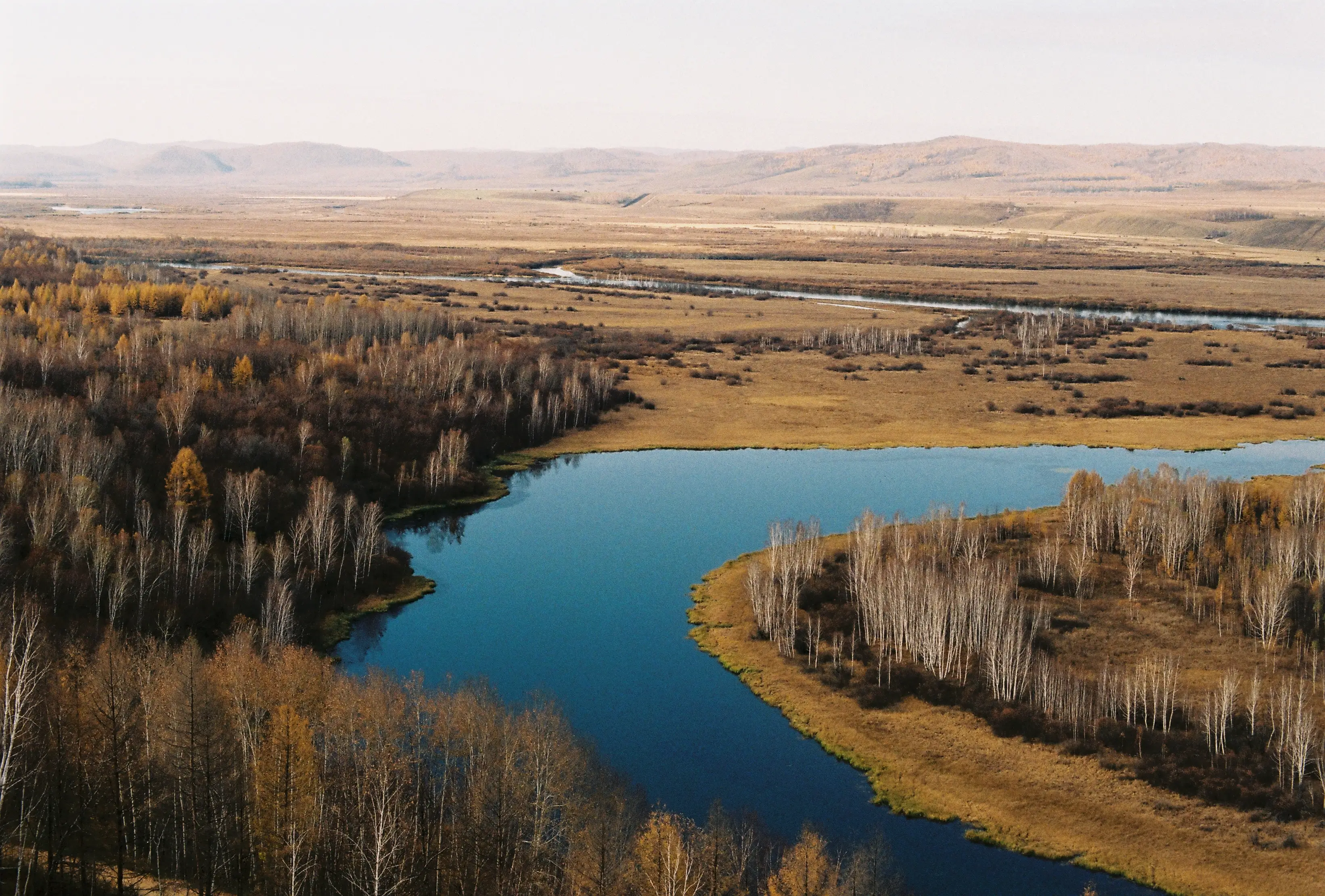 home-banner-background